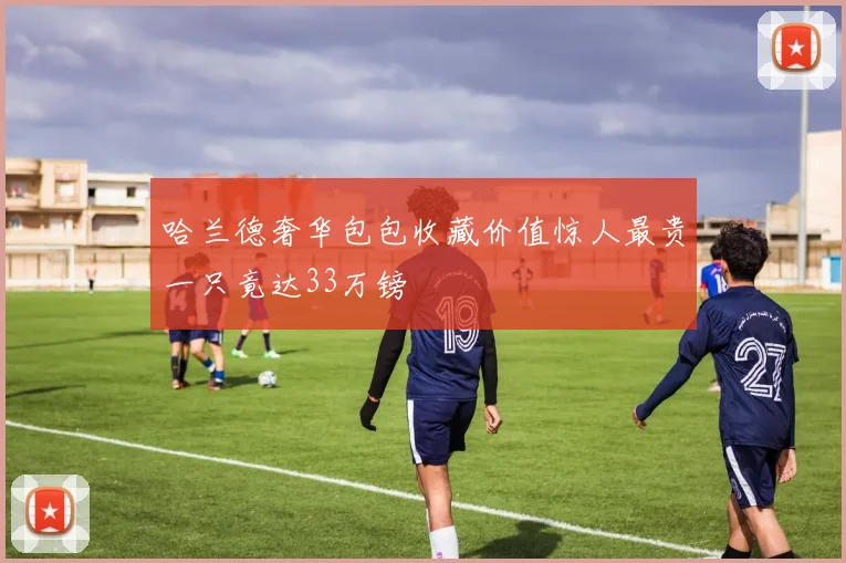 哈兰德奢华包包收藏价值惊人最贵一只竟达33万镑