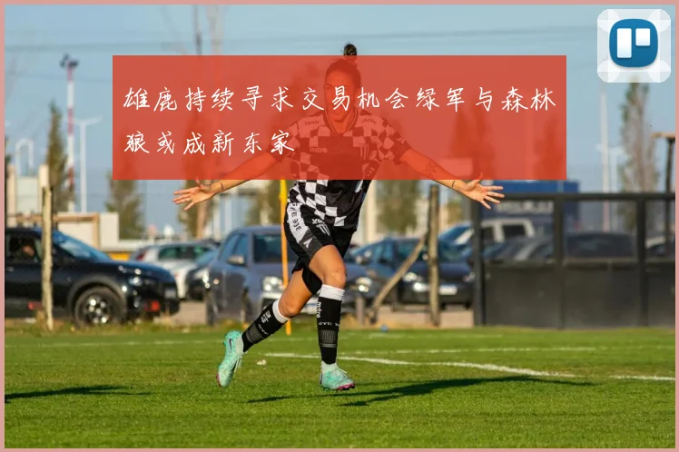 雄鹿持续寻求交易机会绿军与森林狼或成新东家